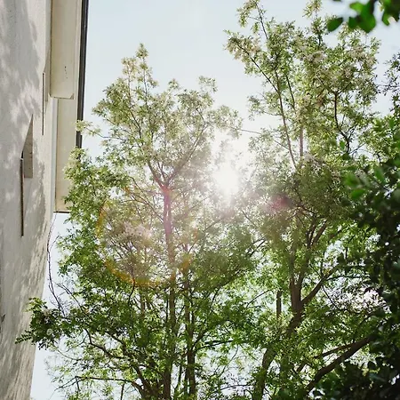 Lauretta 3* Беллария-Иджеа-Марина