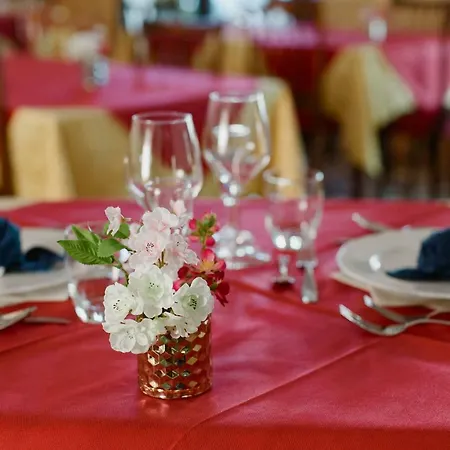 Otel Lauretta Bellaria-Igea Marina